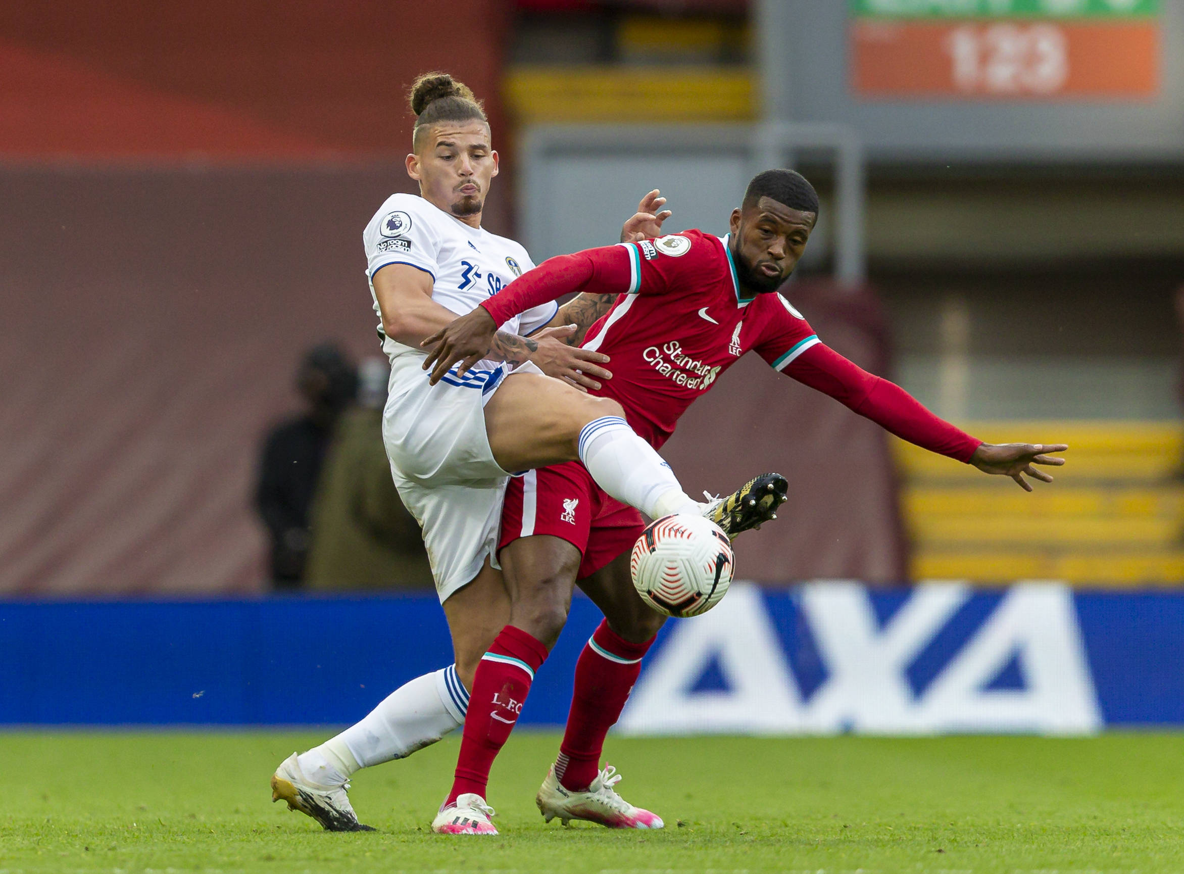 莱万帮助拜 莱万帮助拜